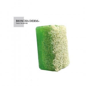 Doğal Kabak Lifli Aloe Vera Sabun