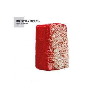 Doğal Kabak Lifli Narlı Sabun